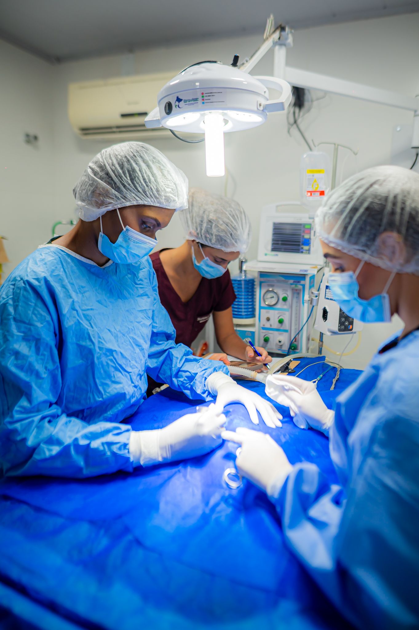 Cirurgia para pets em Cariacica - Prolife