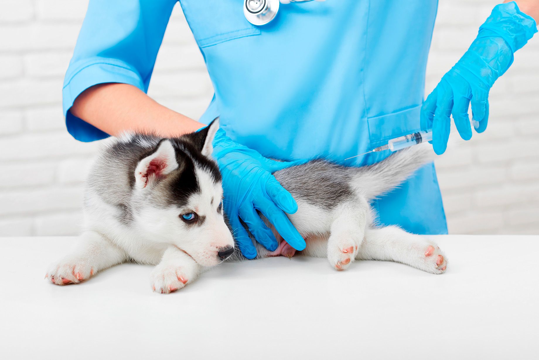 Exame de Sangue Landing Image