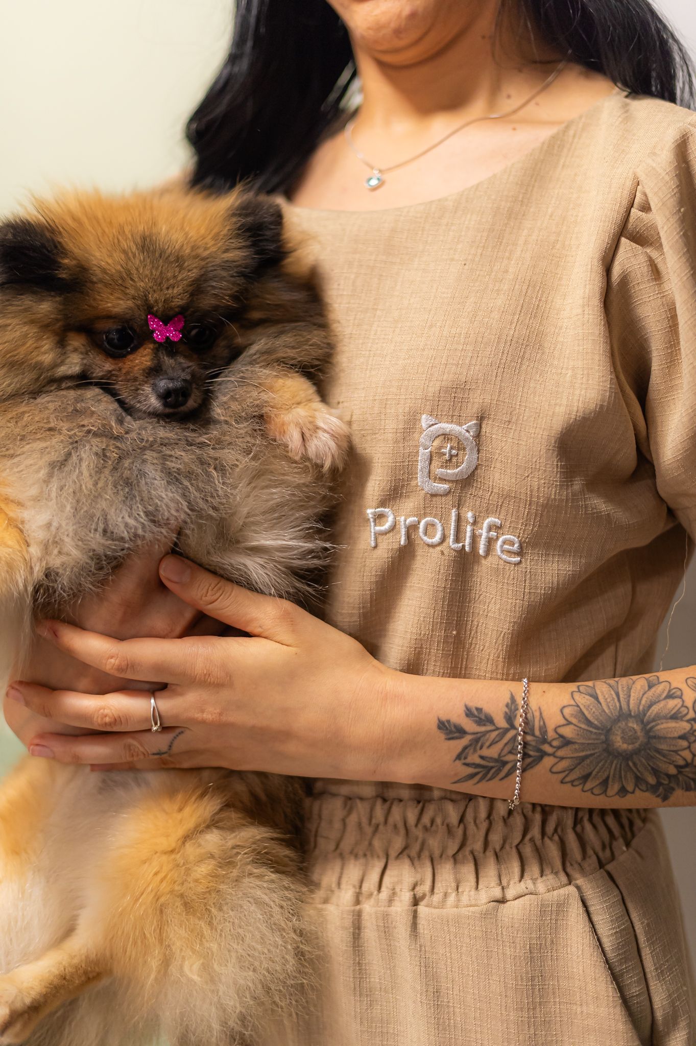 Exames Laboratoriais para pets em Cariacica - Prolife