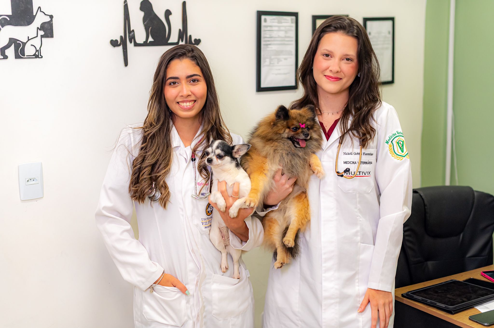 Tratamentos para pets em Cariacica - Prolife