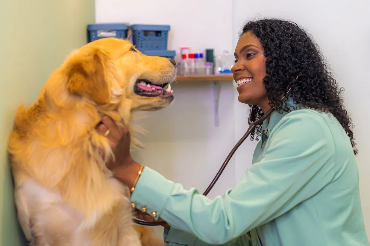 Prolife Cariacica — clínica veterinária em Cariacica